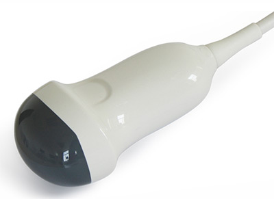 Купить Объемный конвексный датчик УЗИ Chison V4C40L