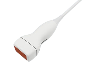 Купить Фазированный датчик Edan P7-3D