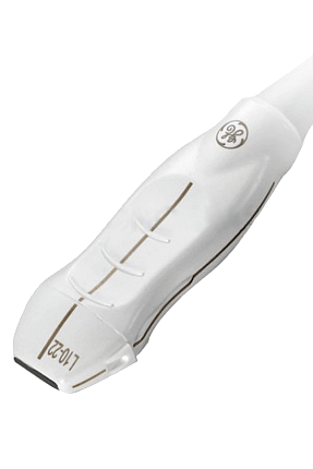 Купить Линейный датчик GE L10-22-RS
